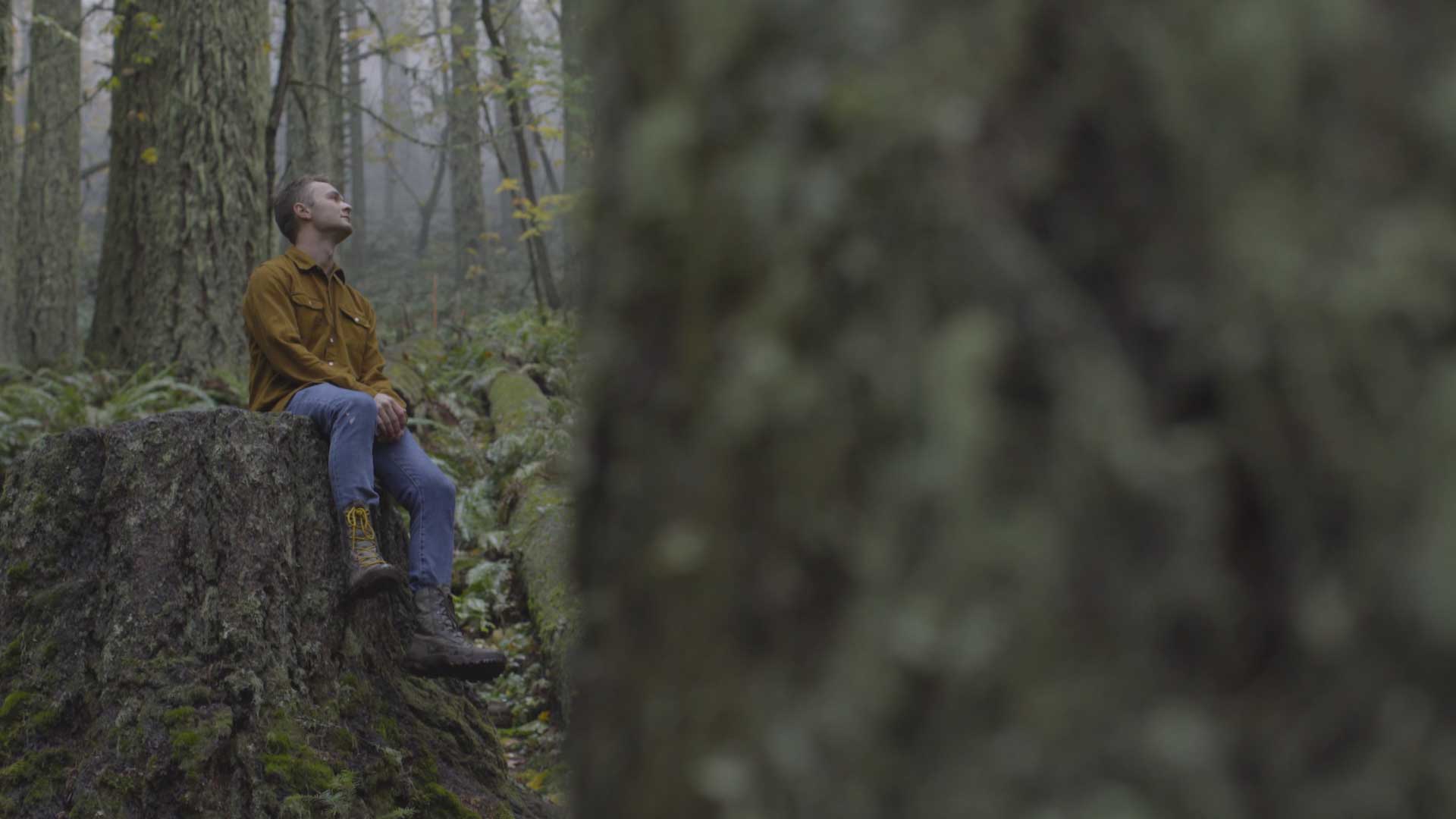 Young Man In The Forest FILMPAC