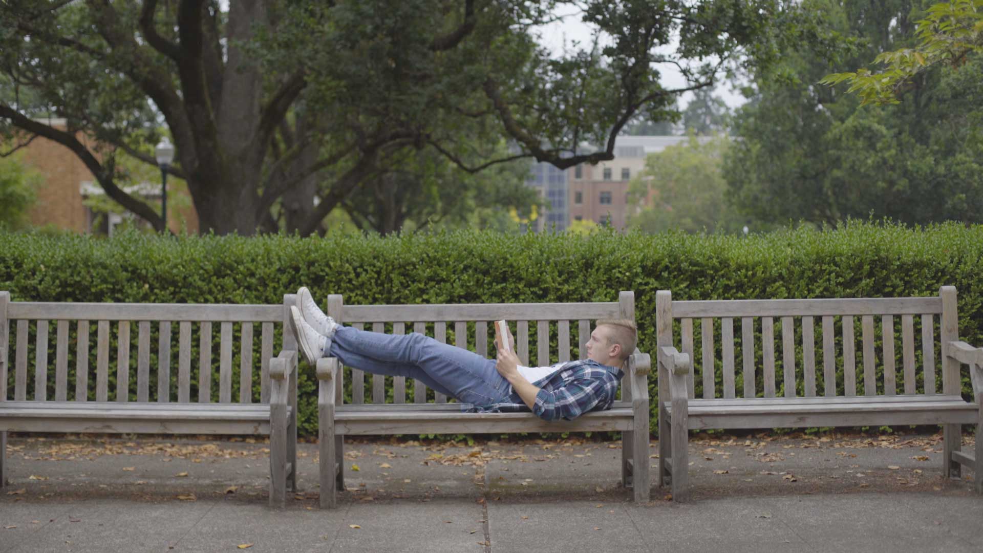 Guy Reading On Park Bench – Filmpac