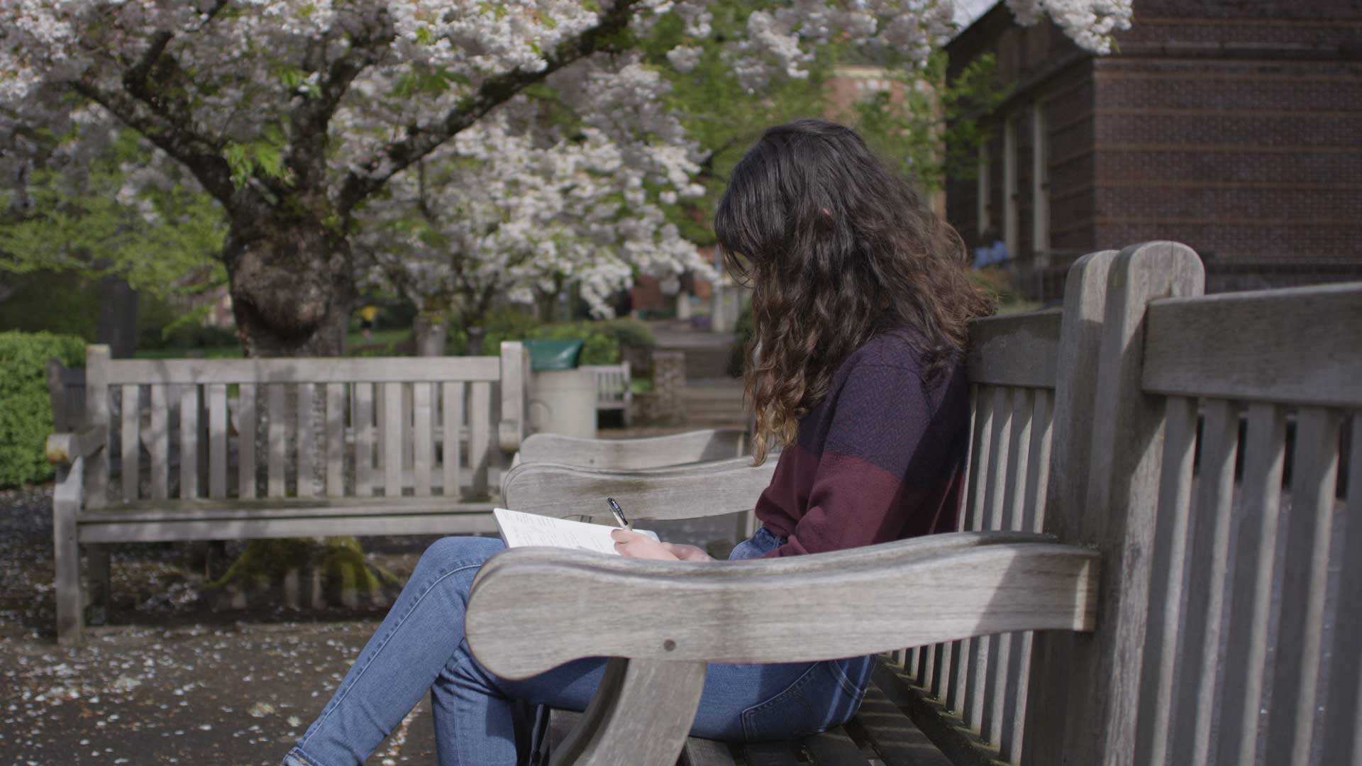 Students doing homework picture