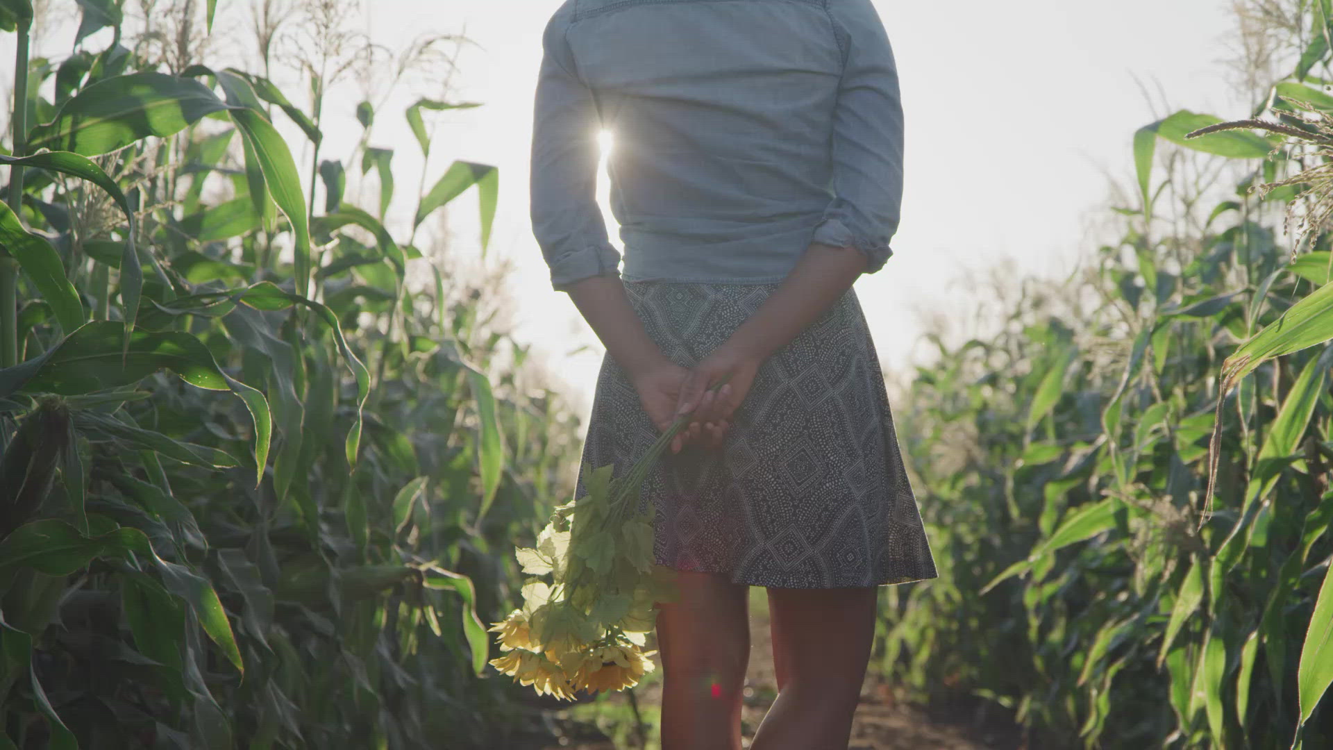 Woman Standing in Corn Field – FILMPAC