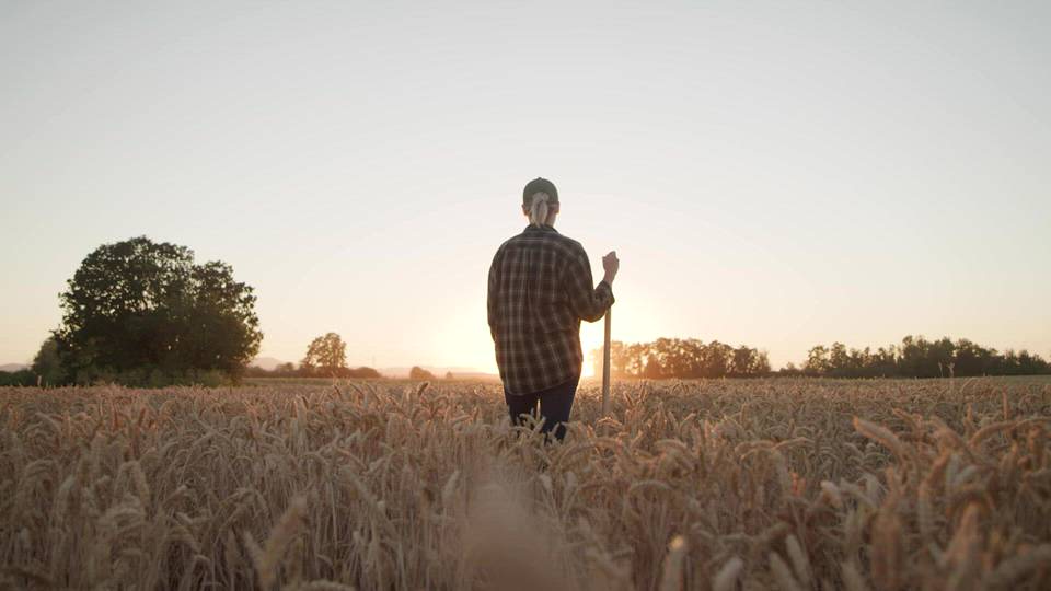 Farmer In The Field   FILMPAC