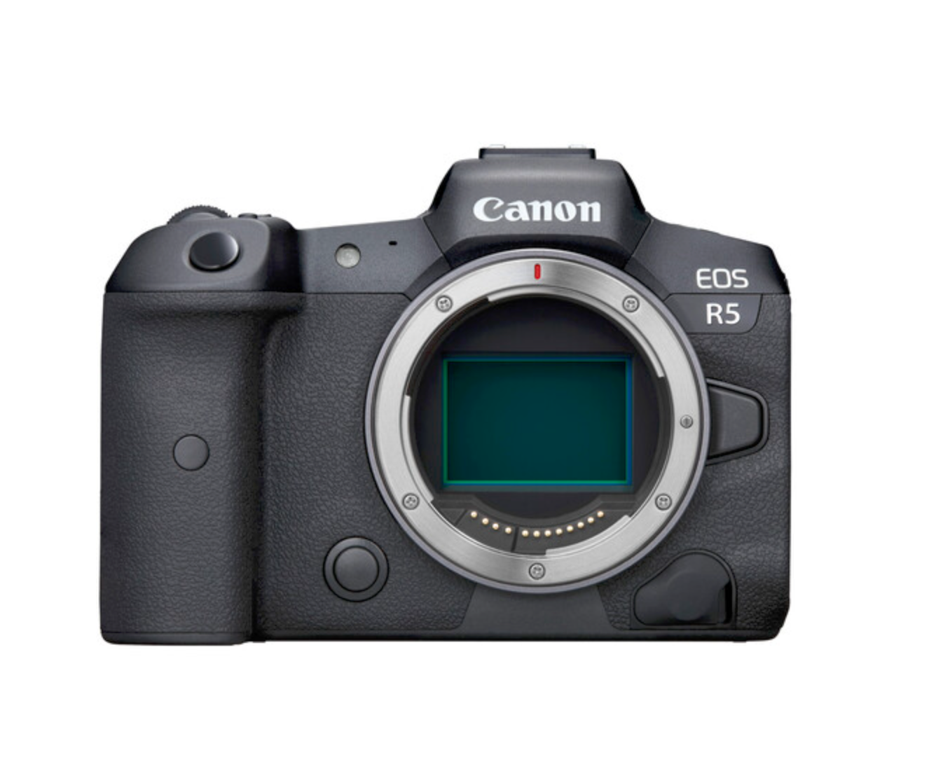 5 Best DSLRs And Mirrorless Cameras FILMPAC